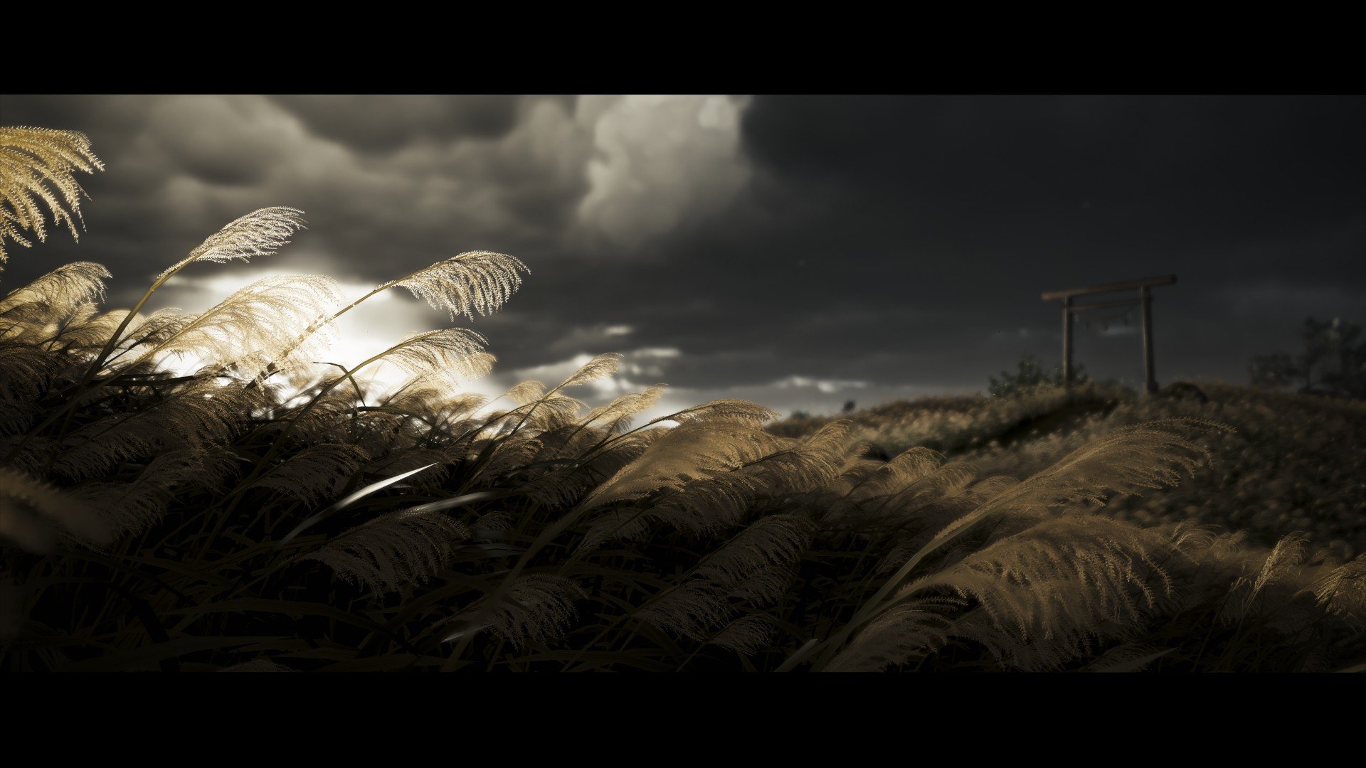 Ghost of Tsushima - Imagen 29